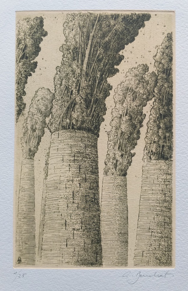 n. 845 Rivoluzione vegetale